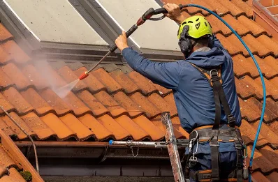 Démoussage et hydrofuge de toiture à Veauce